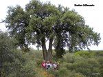 DSCN4963.JPG