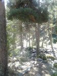 2013-09-08 11.11.10.jpg