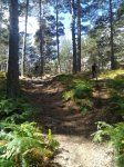 2013-09-08 12.53.00.jpg