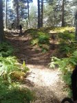 2013-09-08 12.53.04.jpg