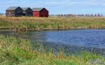 120116DSC_4618.jpg
