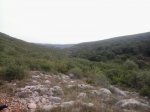 2013-09-08 11.23.48_800x600.jpg