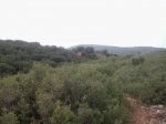 2013-09-08 11.24.06_800x600.jpg