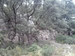 2013-09-08 11.37.28_800x600.jpg