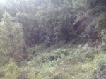 2013-09-08 11.37.35_800x600.jpg
