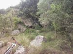 2013-09-08 11.38.50_800x600.jpg