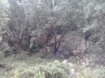 2013-09-08 11.38.53_800x600.jpg