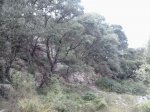 2013-09-08 11.38.56_800x600.jpg
