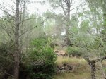 2013-09-08 11.45.59_800x600.jpg