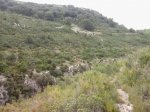 2013-09-08 11.53.29_800x600.jpg