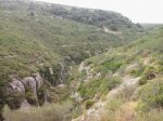 2013-09-08 11.55.03_800x600.jpg