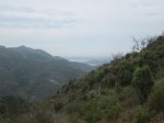 IMG_2988.JPG
