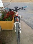 IMG-20130405-WA0007.jpg