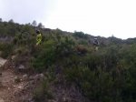 IMG-20130909-WA0023.jpg