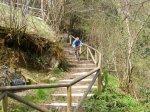 Copia de escaleronas.jpg