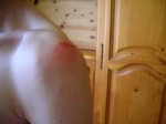Zapa (7).JPG