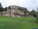 DSC01985 (Medium).JPG