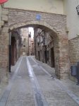 DSC02012 (Medium).JPG