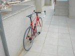 PICT0261.jpg