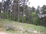 sant julia (bergueda)020.JPG