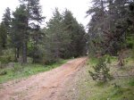 sant julia (bergueda)028.JPG