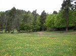 sant julia (bergueda)030.JPG
