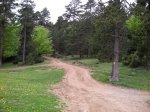 sant julia (bergueda)031.JPG