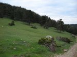 sant julia (bergueda)038.JPG