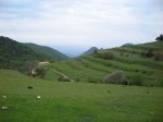 sant julia (bergueda)039.JPG