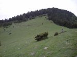 sant julia (bergueda)054.JPG