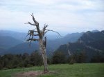 sant julia (bergueda)064.JPG
