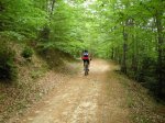 sant julia (bergueda)069.JPG