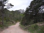 sant julia (bergueda)077.JPG