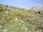 IMG_0068.JPG