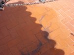 DSC04192.jpg