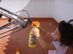 DSC04191.jpg