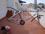 DSC04183.jpg