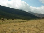 DSCN65340.JPG