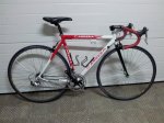 BICI 1.jpg