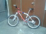 bici2.JPG