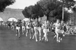 maraton 1960.jpg