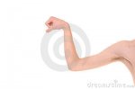 el-doblar-flaco-del-brazo-17366676.jpg