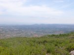 P1070648_800x600.jpg