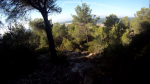 vlcsnap-2013-09-14-20h16m29s58_1024x576_640x360.png