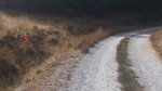 20 Km 45 (80 m&#237;o) de la ruta.jpg