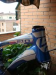 DSC03751.JPG