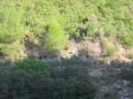 IMG_3012.JPG