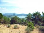 Foto3.JPG