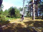 Foto7.JPG