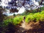 Foto18.JPG